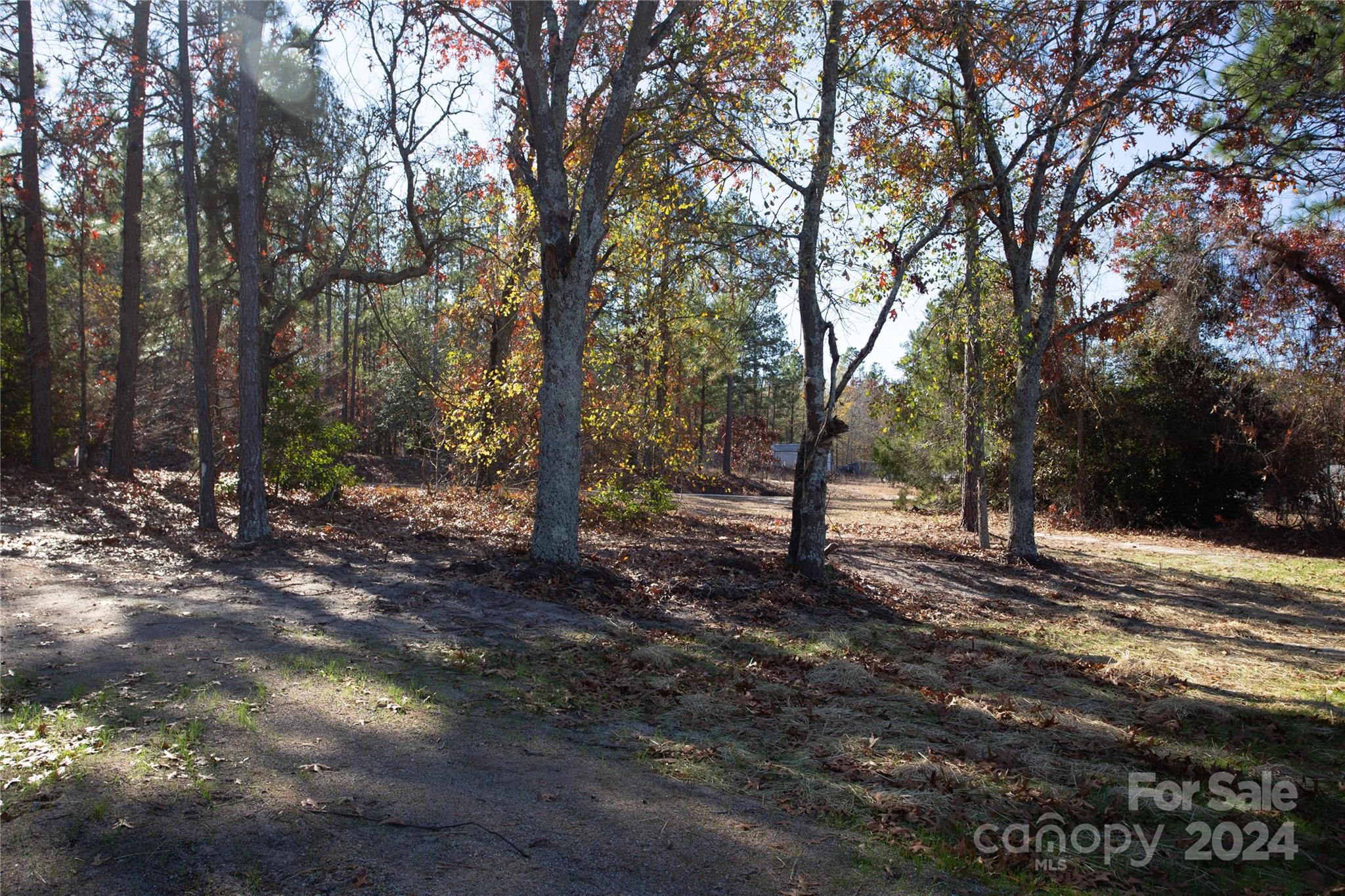1382 Charlie Johnson Road Kershaw, SC 29067 - Photo 3 of 19 Gallery Image 3