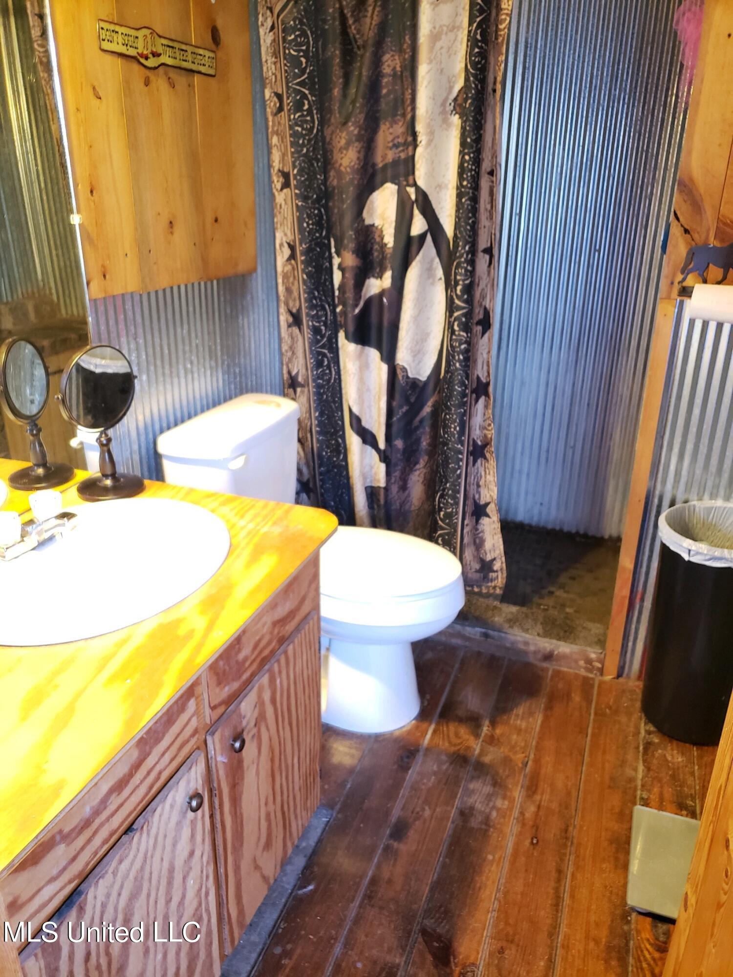 938 Frank Smith Road Batesville, MS 38606 - Photo 28 of 62 Bathroom 2