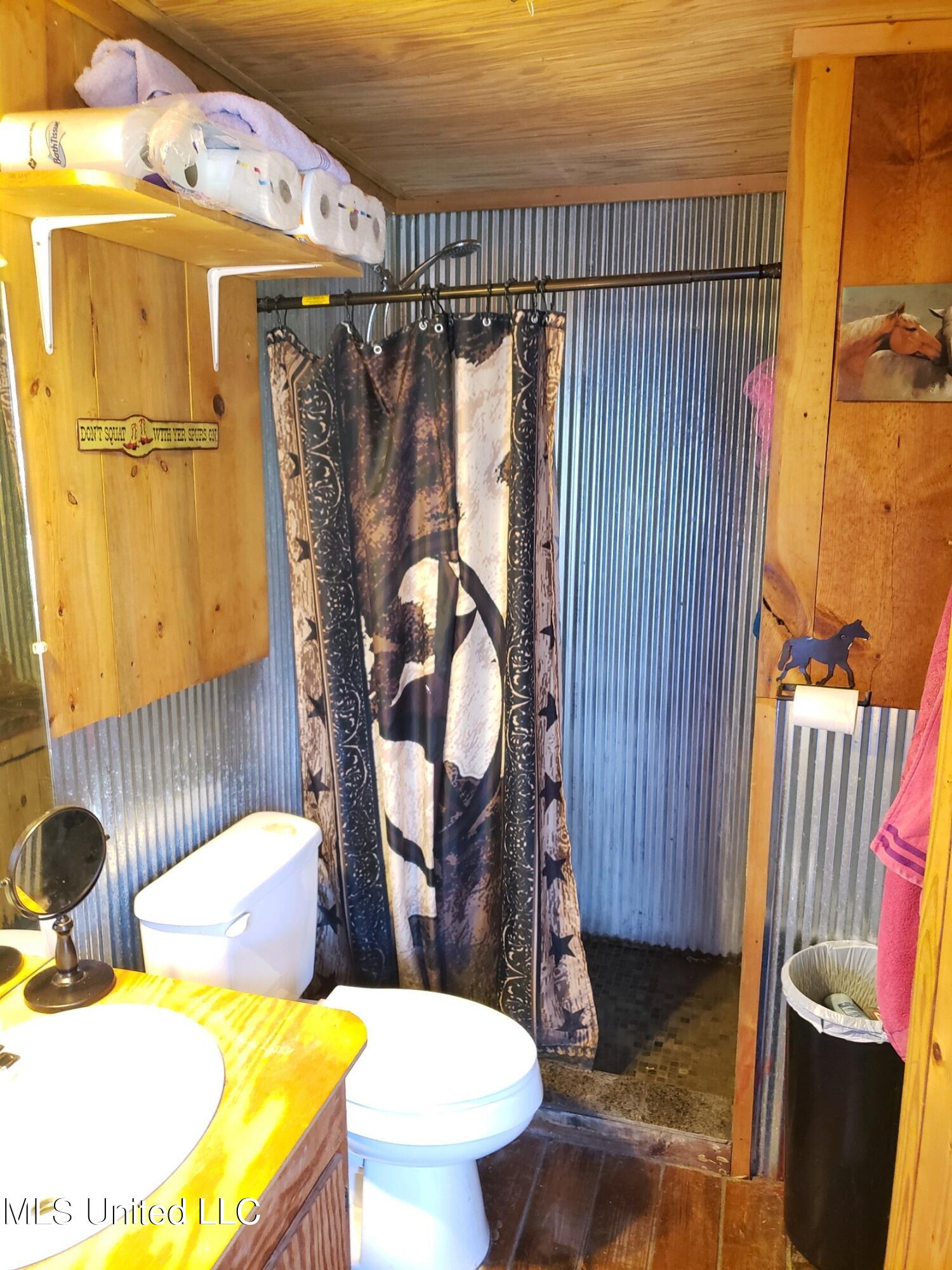 938 Frank Smith Road Batesville, MS 38606 - Photo 29 of 62 Bathroom 2
