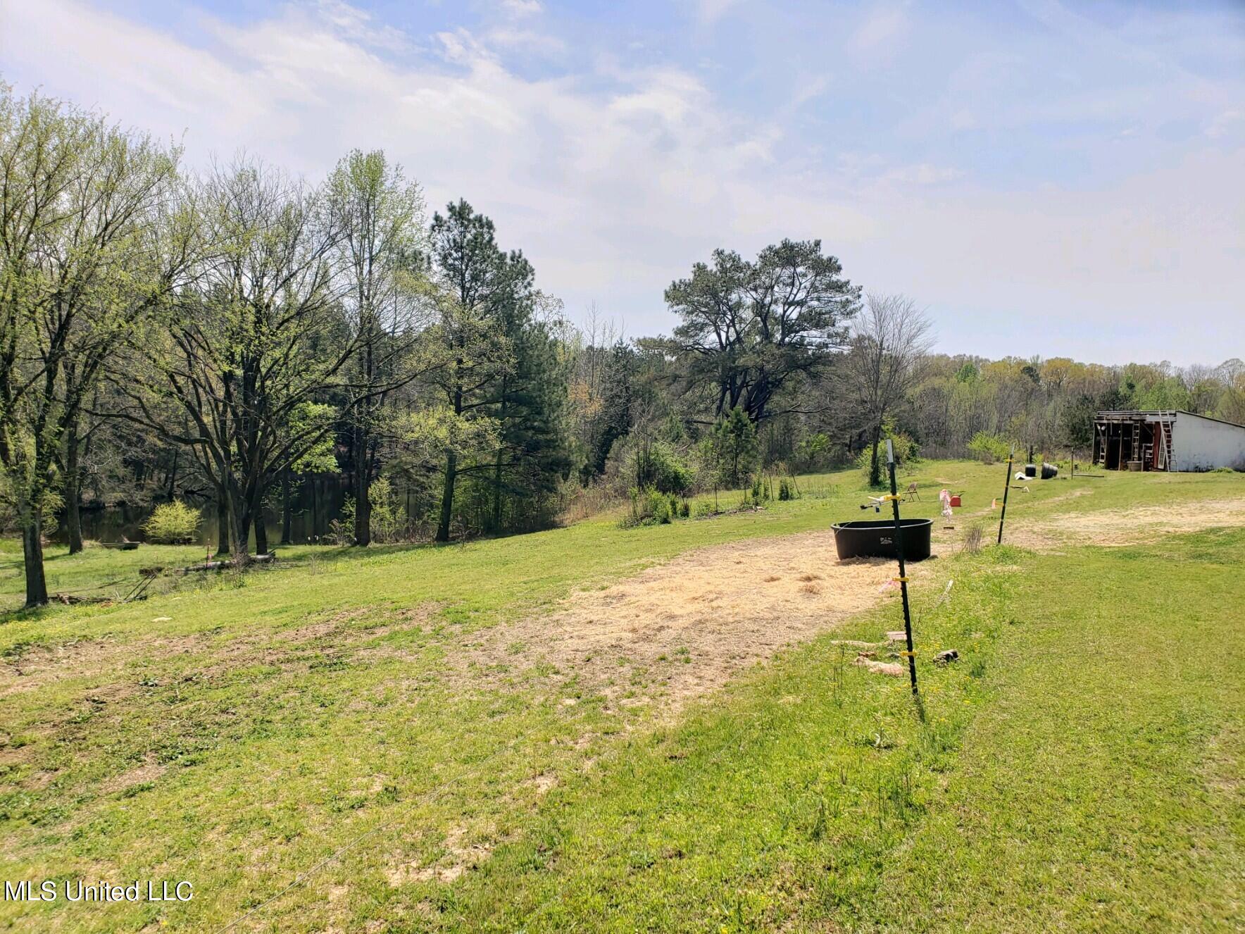 938 Frank Smith Road Batesville, MS 38606 - Photo 40 of 62 Front Yard Area