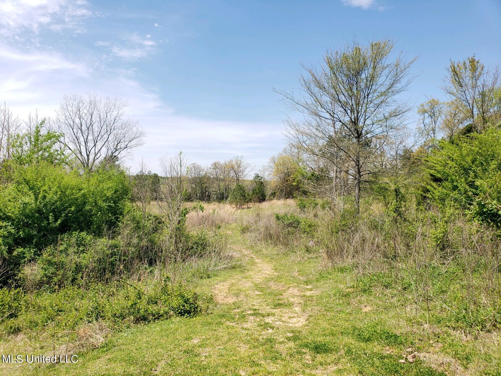 938 Frank Smith Road Batesville, MS 38606 - Photo 44 of 62 Pasture