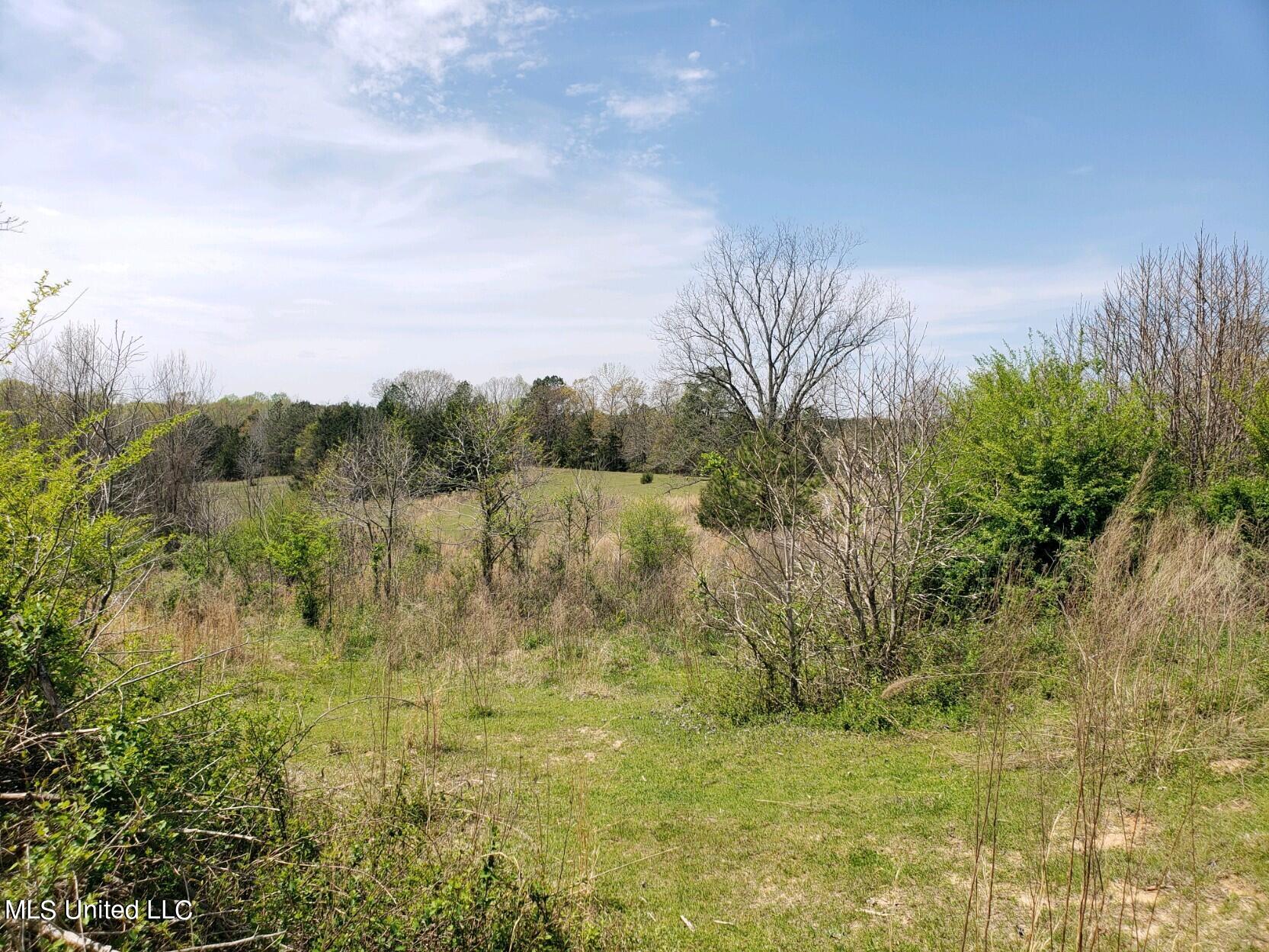 938 Frank Smith Road Batesville, MS 38606 - Photo 45 of 62 Pasture