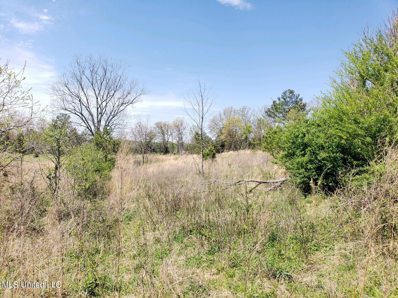 938 Frank Smith Road Batesville, MS 38606 - Photo 46 of 62 Pasture