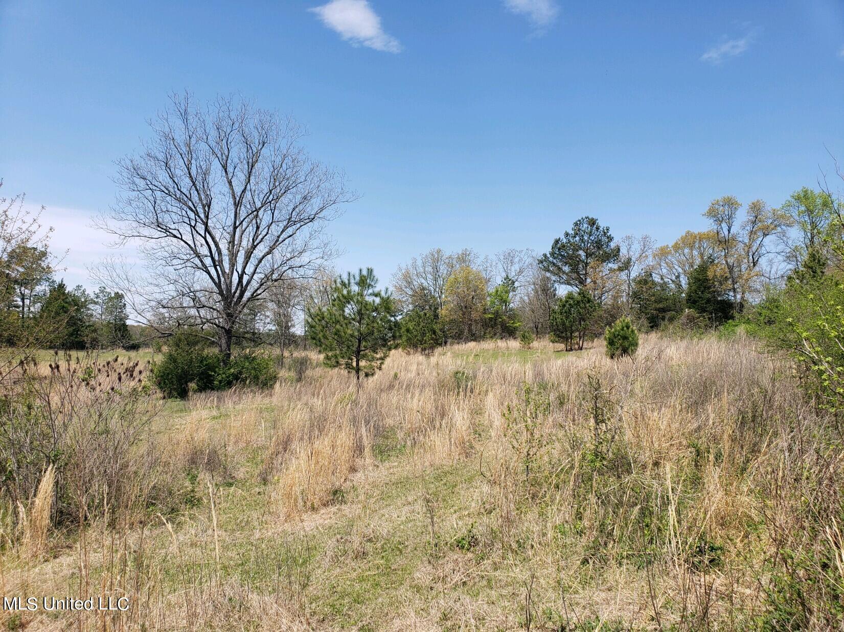 938 Frank Smith Road Batesville, MS 38606 - Photo 47 of 62 Pasture
