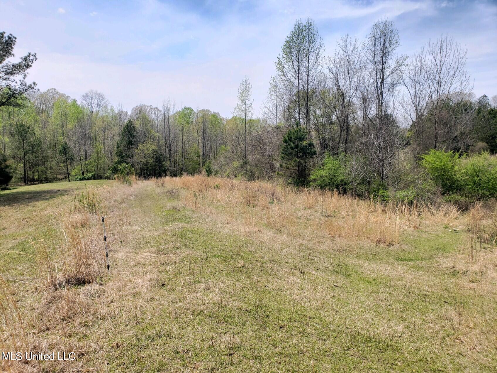 938 Frank Smith Road Batesville, MS 38606 - Photo 48 of 62 Pasture