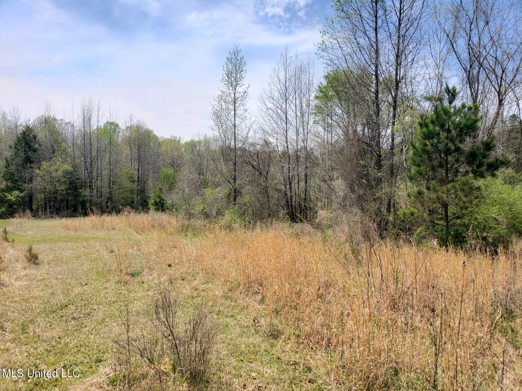 938 Frank Smith Road Batesville, MS 38606 - Photo 49 of 62 Pasture