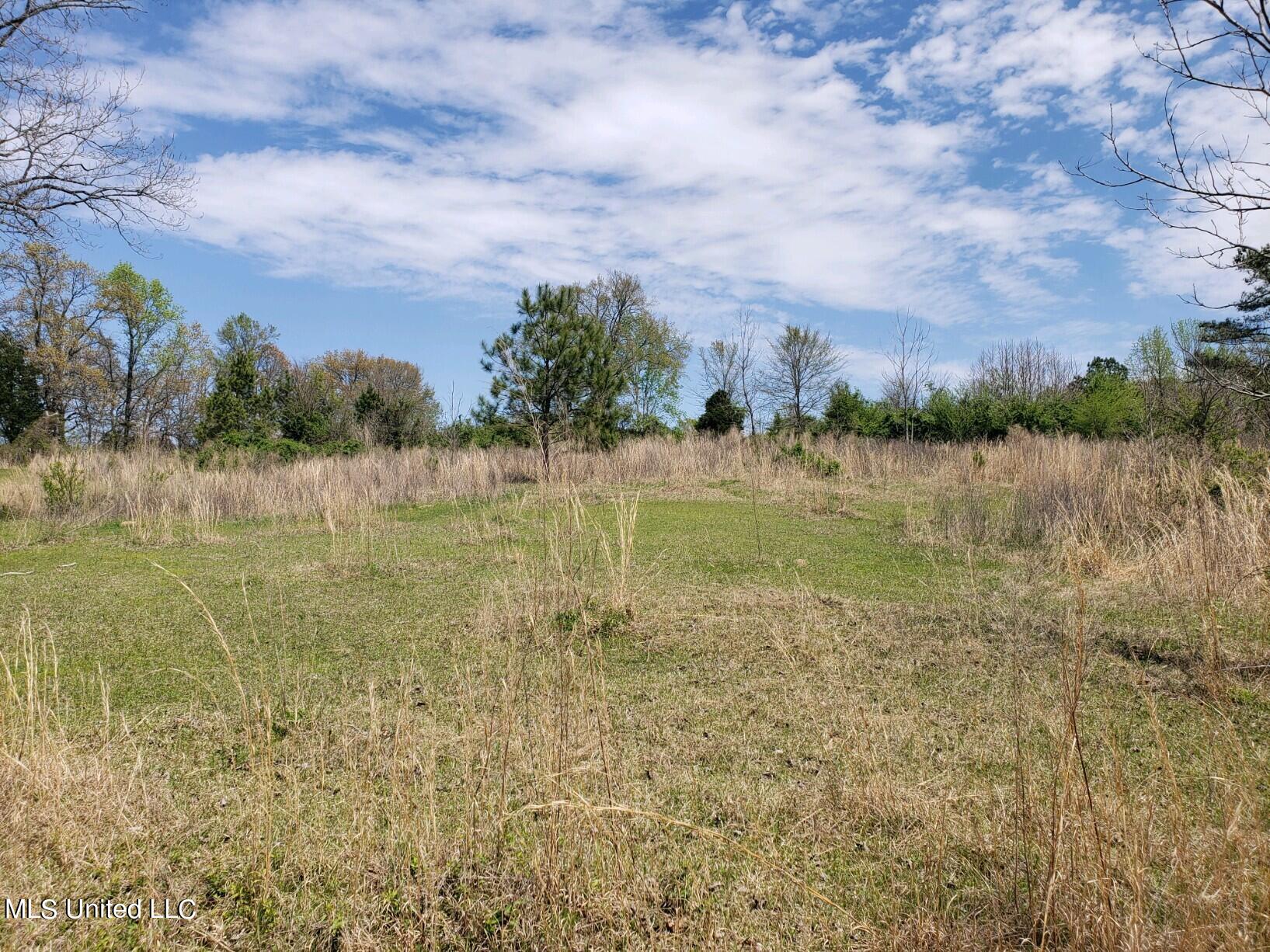 938 Frank Smith Road Batesville, MS 38606 - Photo 50 of 62 Pasture
