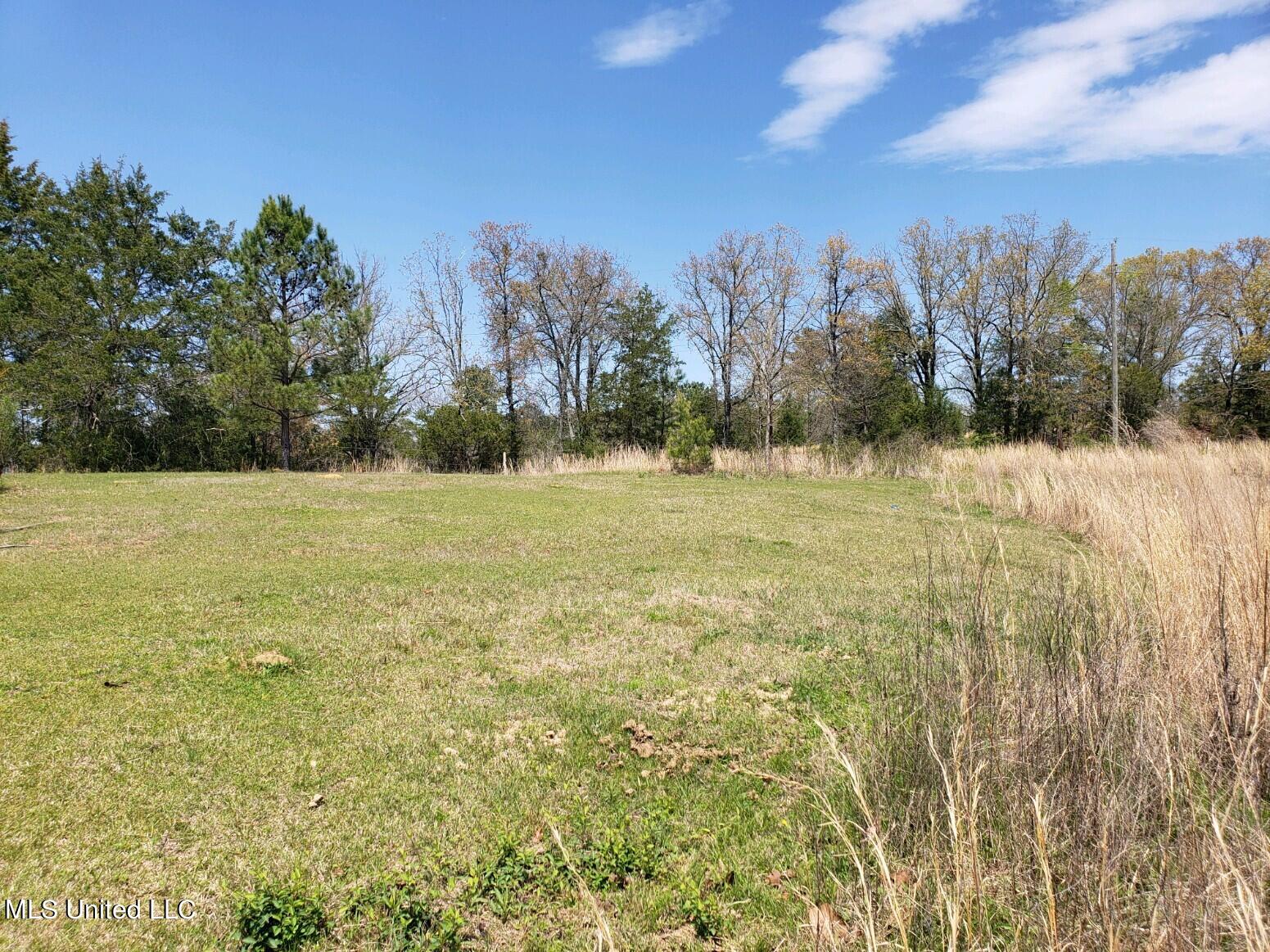 938 Frank Smith Road Batesville, MS 38606 - Photo 51 of 62 Pasture