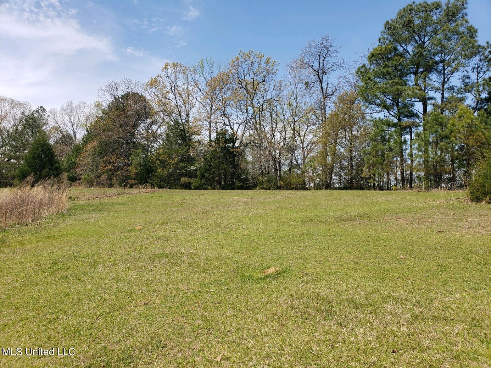 938 Frank Smith Road Batesville, MS 38606 - Photo 52 of 62 Pasture
