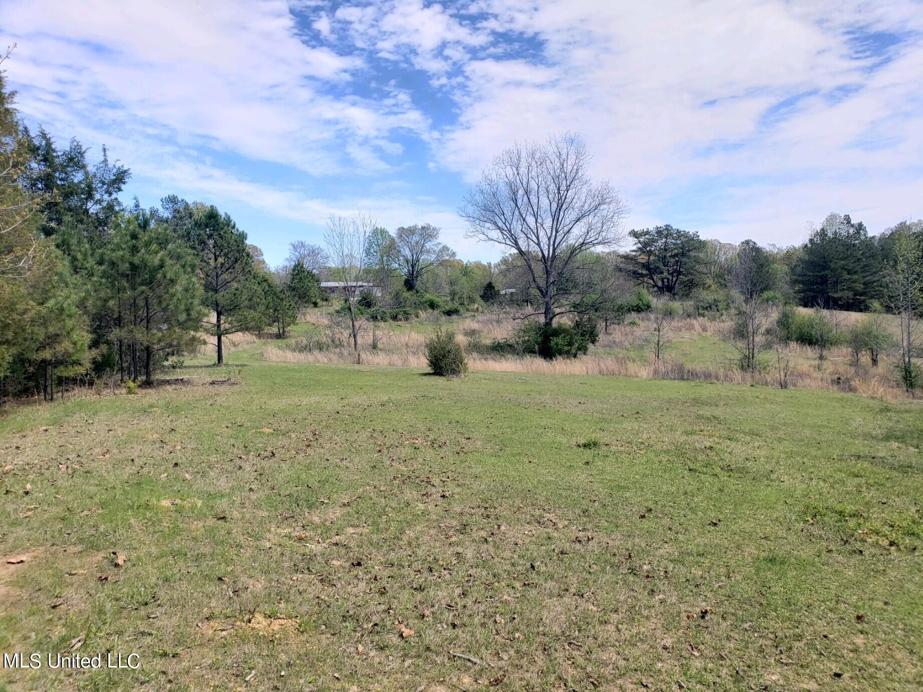 938 Frank Smith Road Batesville, MS 38606 - Photo 53 of 62 Pasture