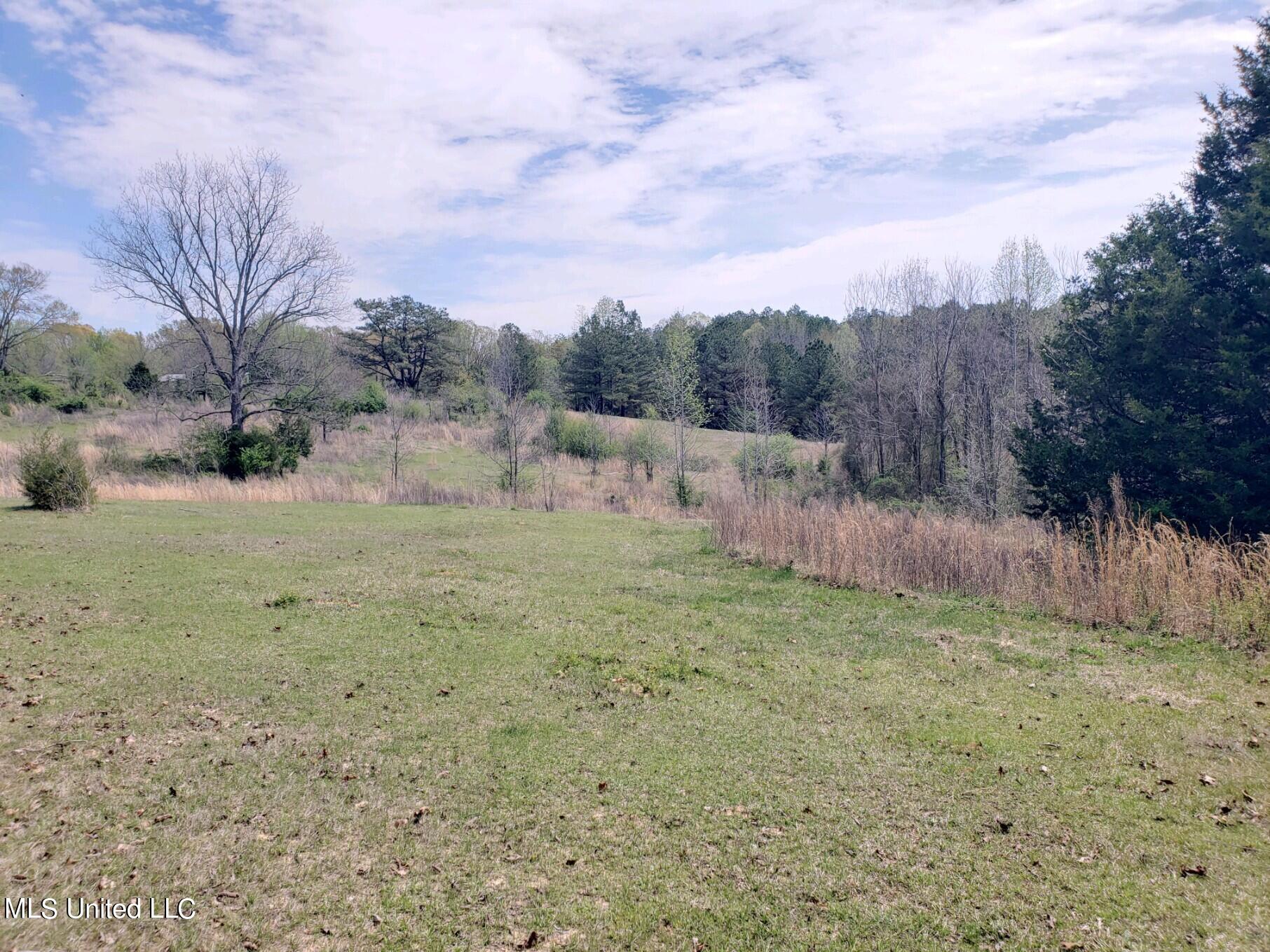 938 Frank Smith Road Batesville, MS 38606 - Photo 54 of 62 Pasture