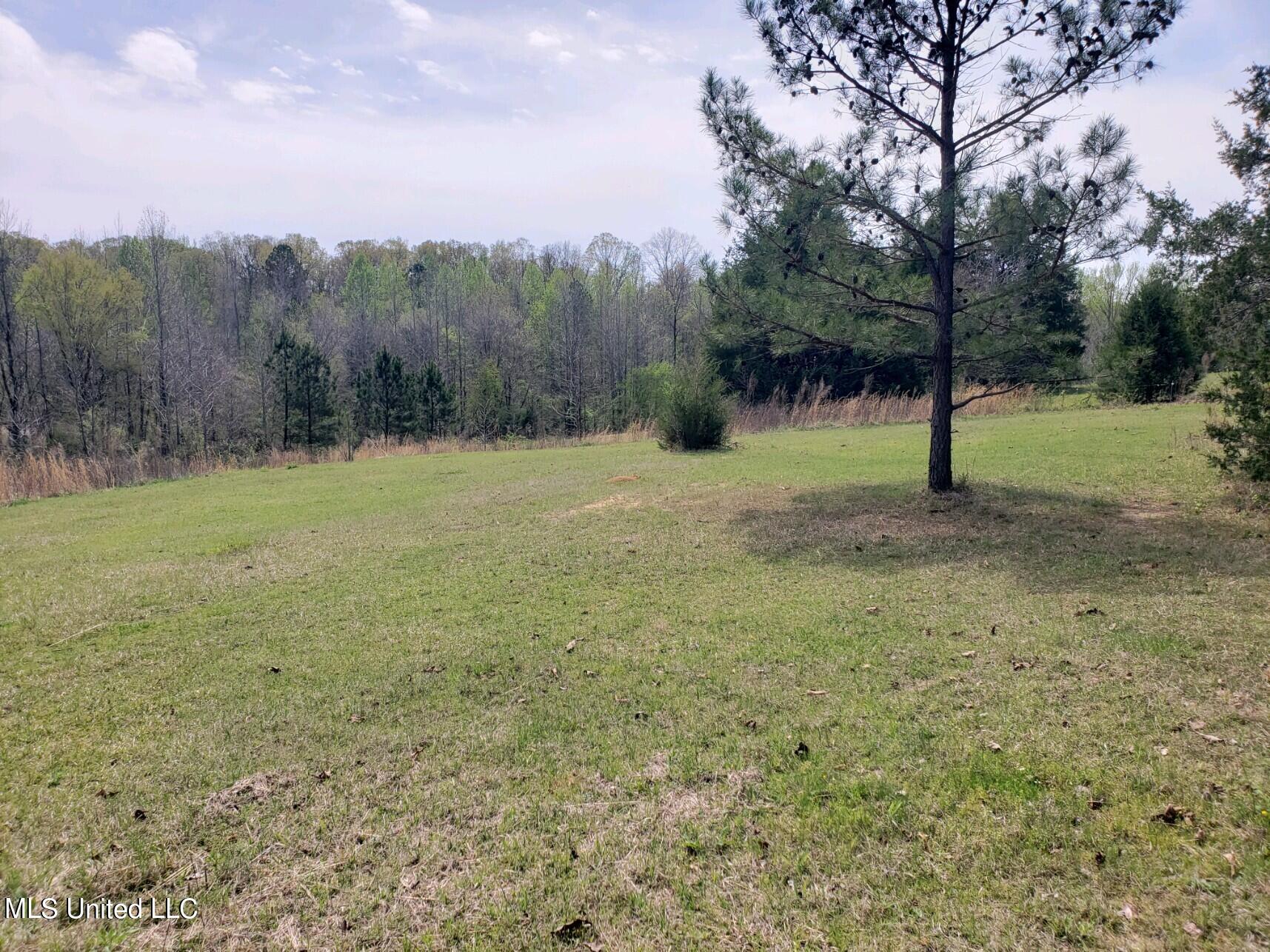 938 Frank Smith Road Batesville, MS 38606 - Photo 55 of 62 Pasture