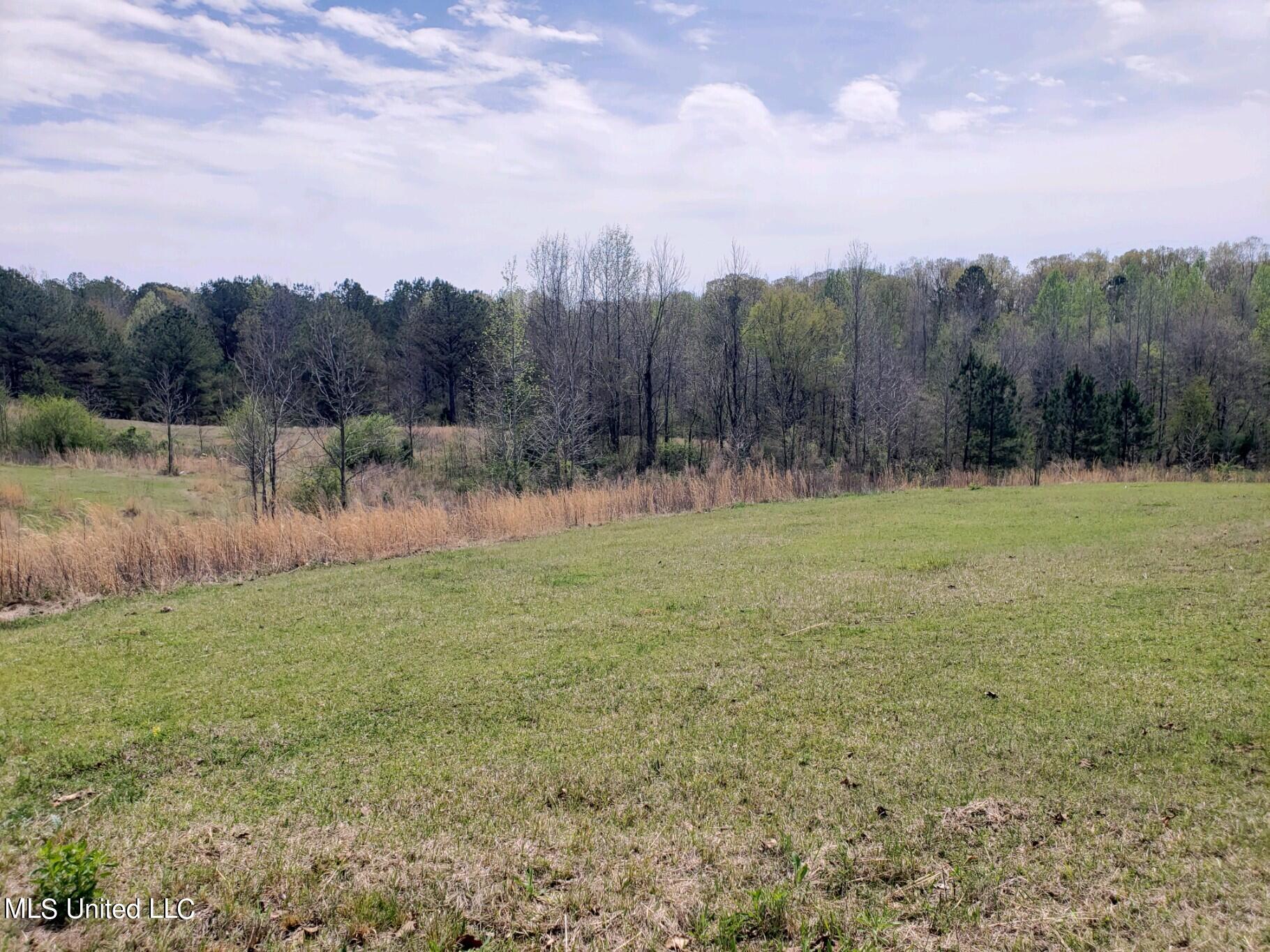 938 Frank Smith Road Batesville, MS 38606 - Photo 56 of 62 Pasture