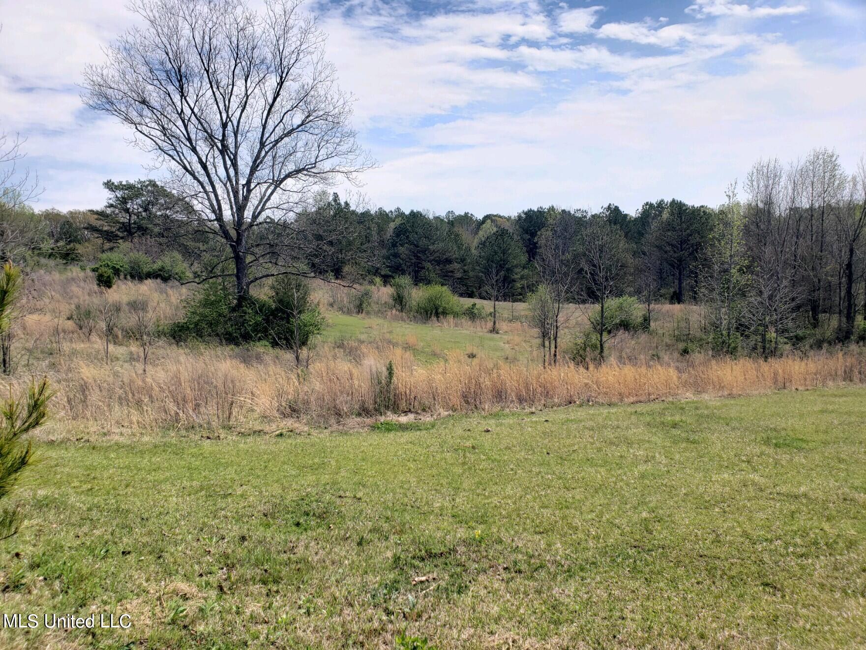 938 Frank Smith Road Batesville, MS 38606 - Photo 57 of 62 Pasture