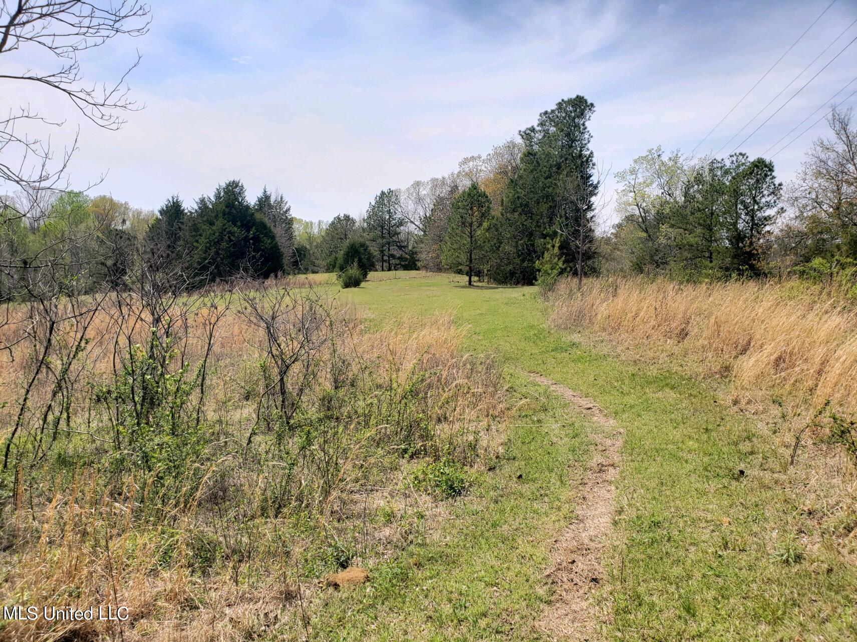 938 Frank Smith Road Batesville, MS 38606 - Photo 58 of 62 Pasture