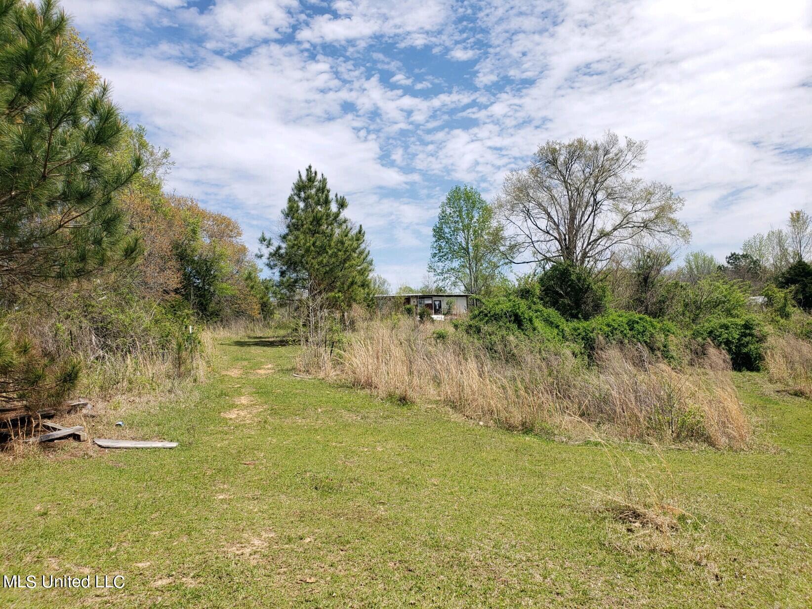 938 Frank Smith Road Batesville, MS 38606 - Photo 59 of 62 Pasture