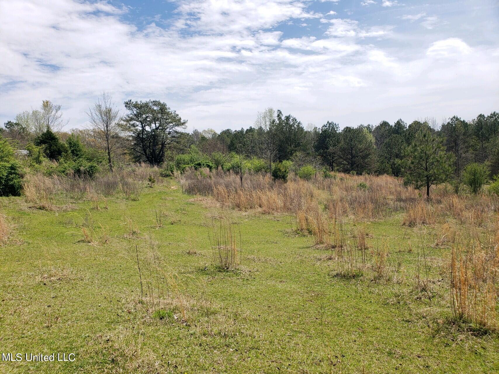 938 Frank Smith Road Batesville, MS 38606 - Photo 60 of 62 Pasture