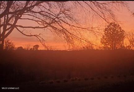 938 Frank Smith Road Batesville, MS 38606 - Photo 61 of 62 Sunset Captured by Seller