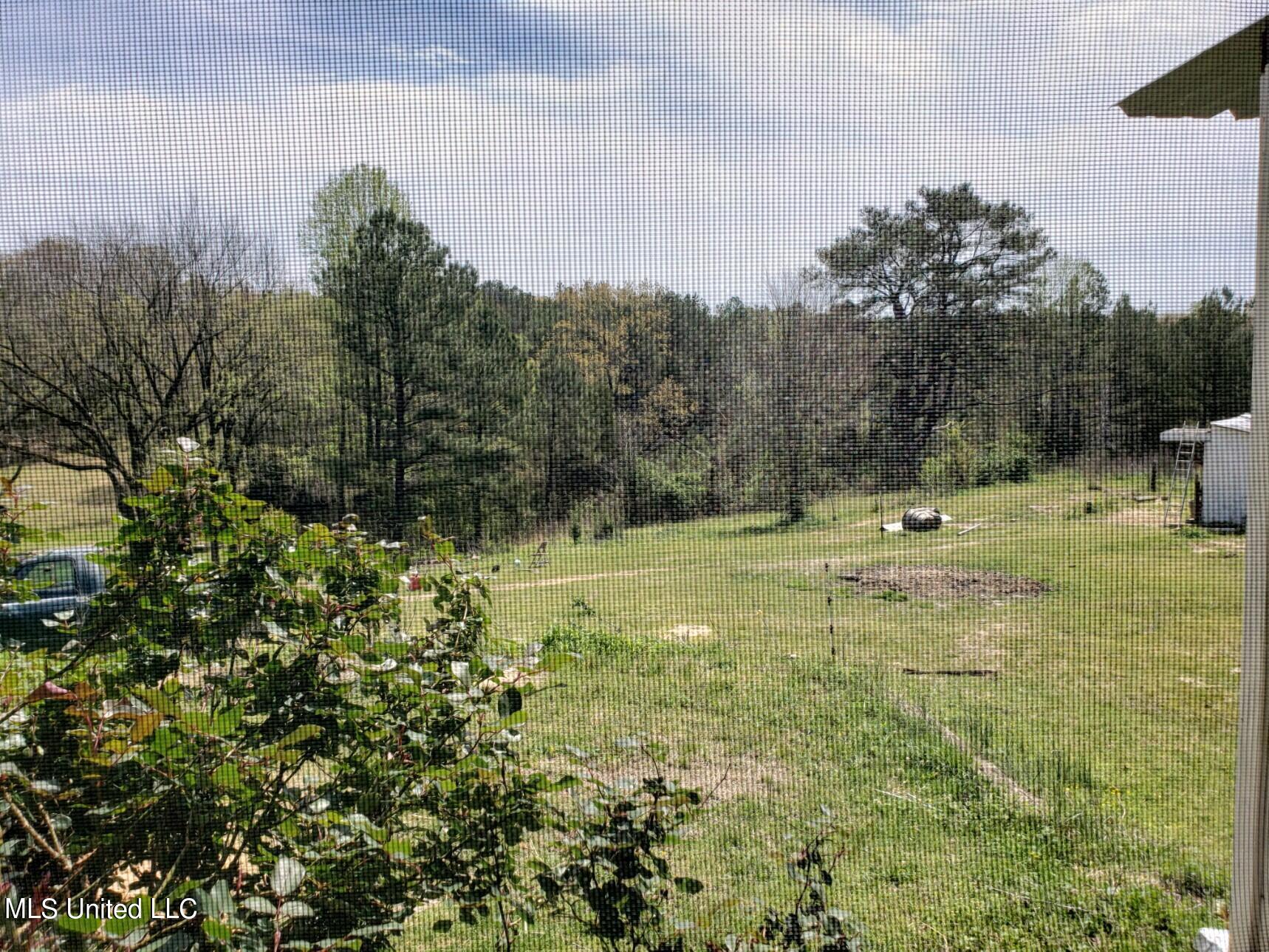 938 Frank Smith Road Batesville, MS 38606 - Photo 7 of 62 View from Screened Porch