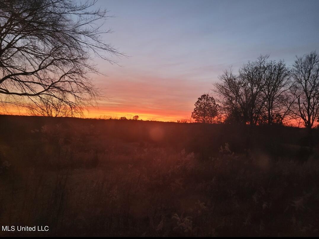 938 Frank Smith Road Batesville, MS 38606 - Photo 8 of 62 Beautiful Sunsets Captured by Seller