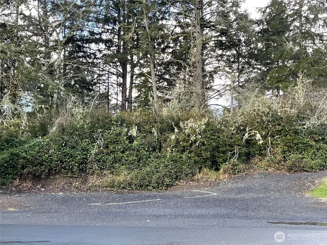 a view of a yard with a tree