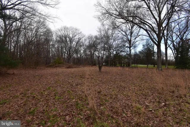 a view of outdoor space