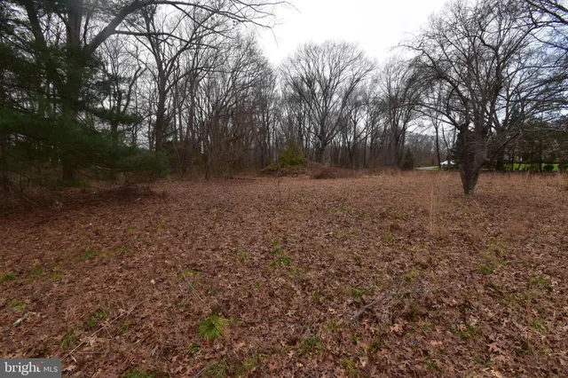 a view of backyard with green space