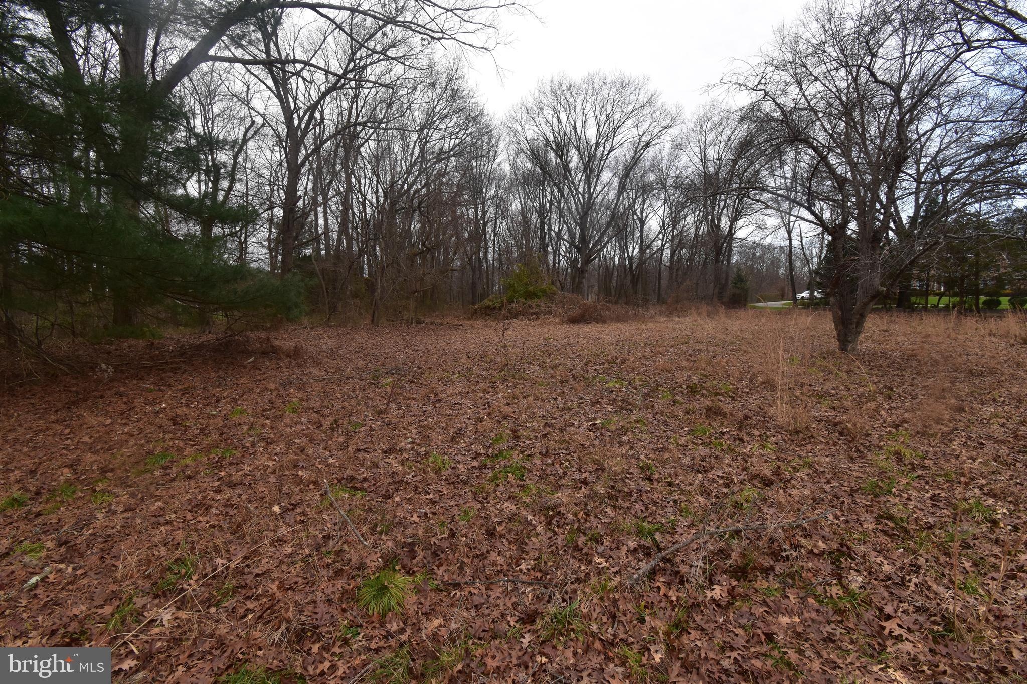 901 McElwee Road Moorestown, NJ 08057 - Photo 4 of 6 a view of backyard with green space