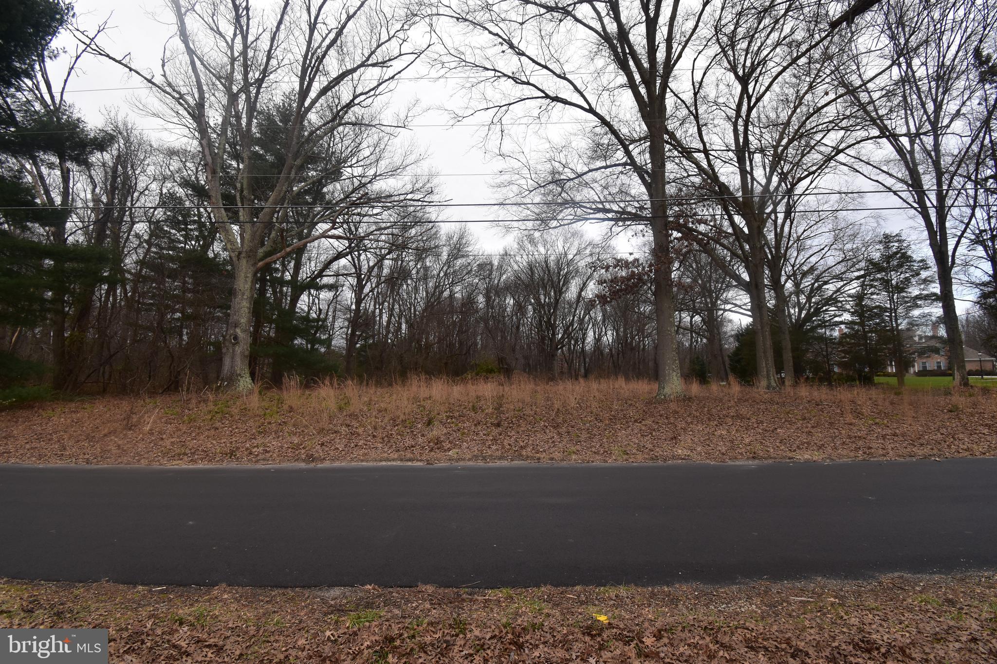 901 McElwee Road Moorestown, NJ 08057 - Photo 5 of 6 a view of a yard