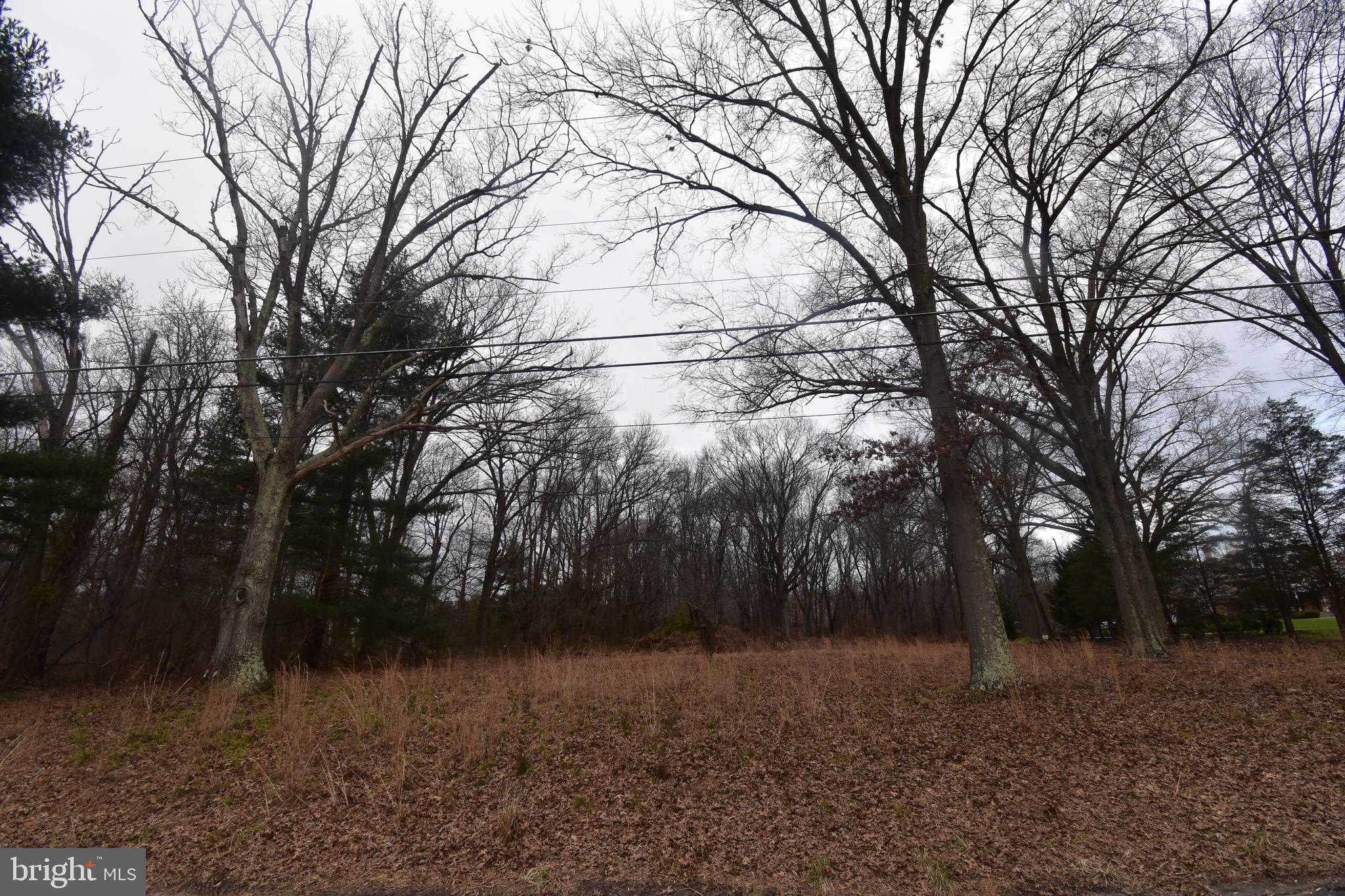 901 McElwee Road Moorestown, NJ 08057 - Photo 6 of 6 a backyard of a house with lots of green space