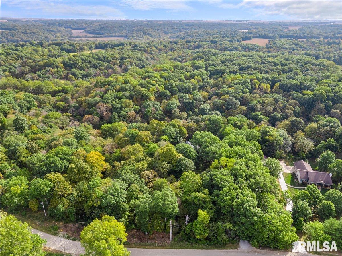 670 Coon Creek Road Metamora, IL 61548 - Photo 46 of 53