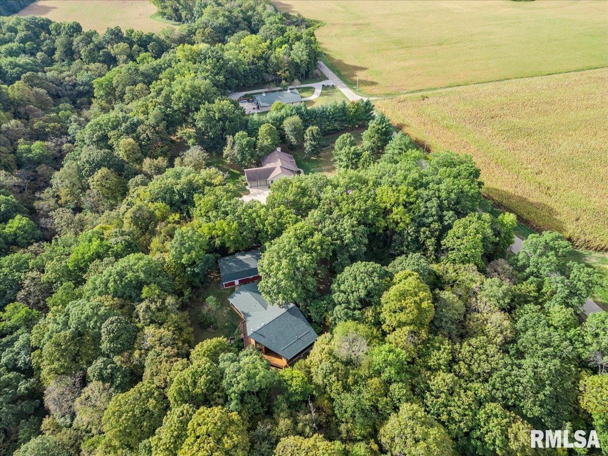 670 Coon Creek Road Metamora, IL 61548 - Photo 50 of 53