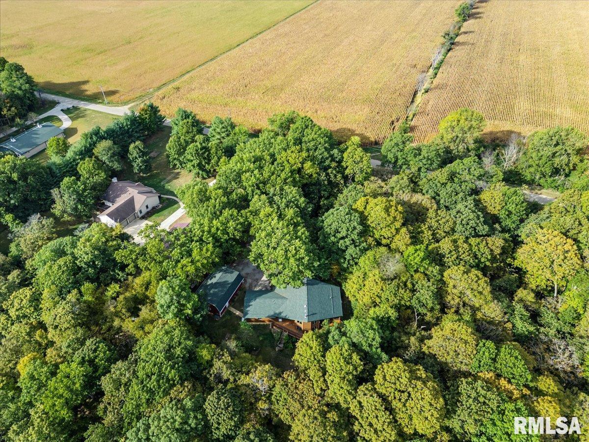 670 Coon Creek Road Metamora, IL 61548 - Photo 51 of 53