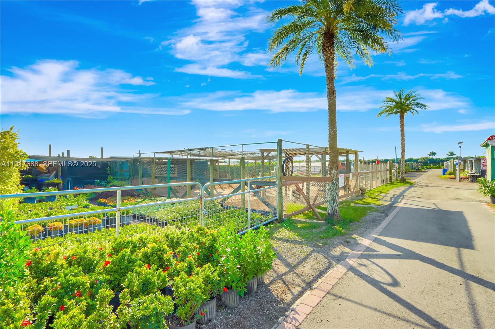 20455 Southwest 154th Avenue Miami, FL 33187 - Photo 87 of 95 a view of a garden with a palm tree