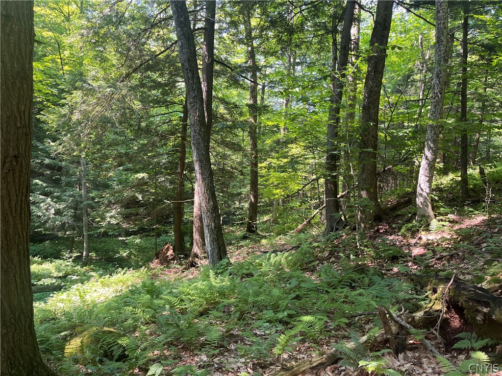 Center Road Lacona, NY 13083 - Photo 12 of 38