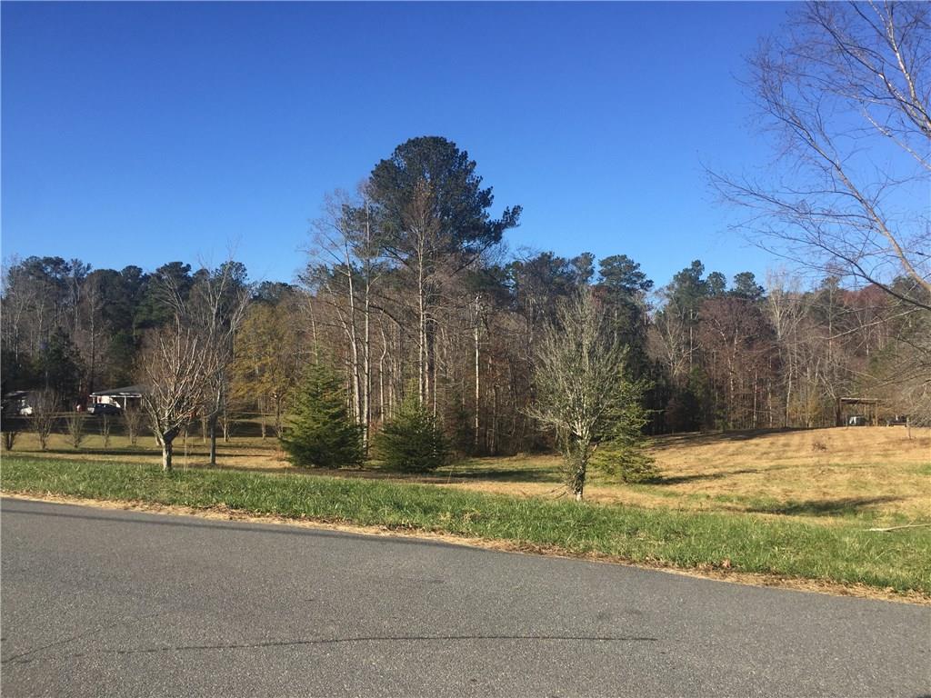Crepe Myrtles on the left side of this photo is the property line. Trees are 1 ft inside the property line. Beautiful property.  Small pole barn on the back of the property.
