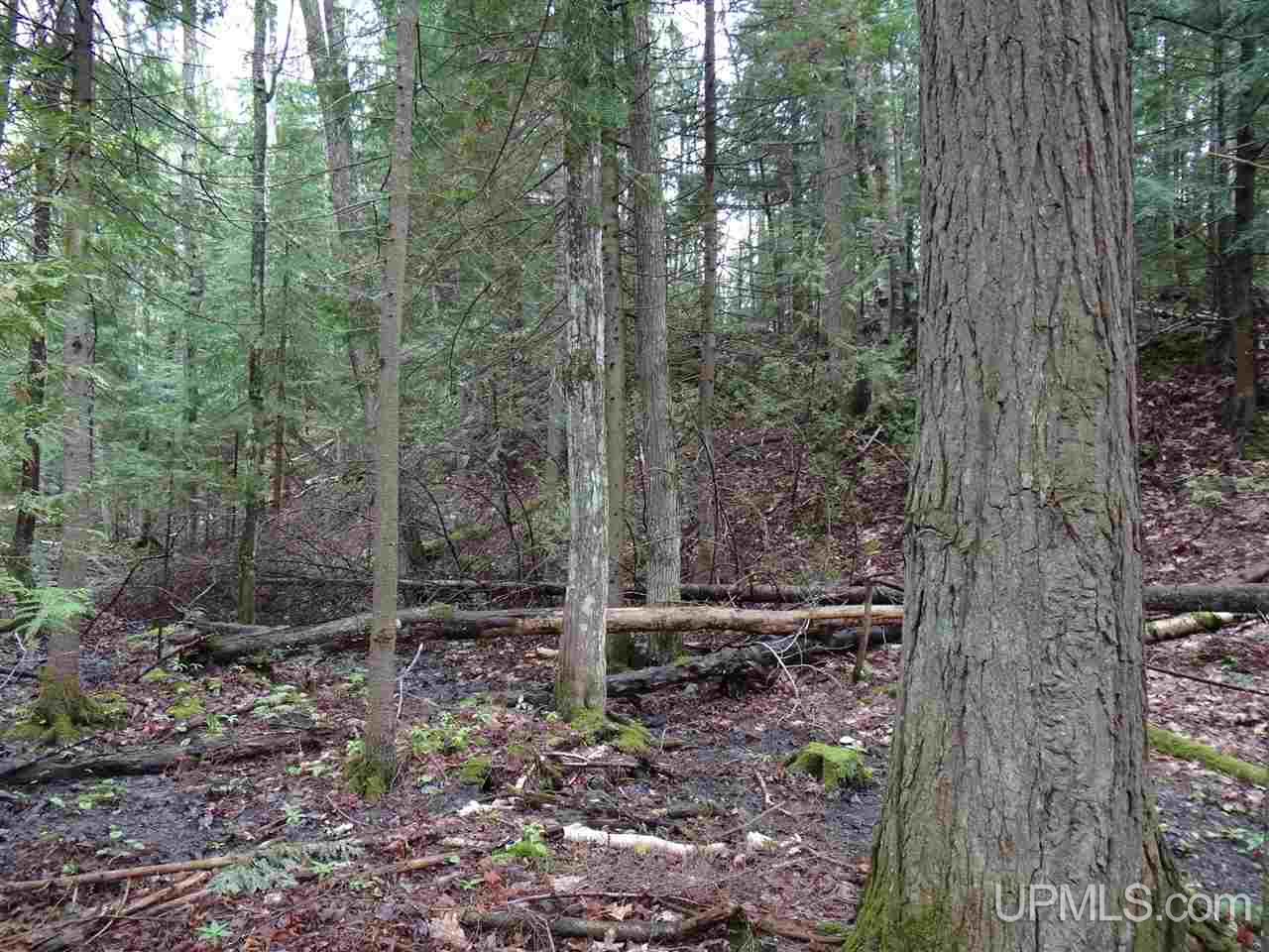Tbd Freda Road Houghton, MI 49931 - Photo 6 of 15