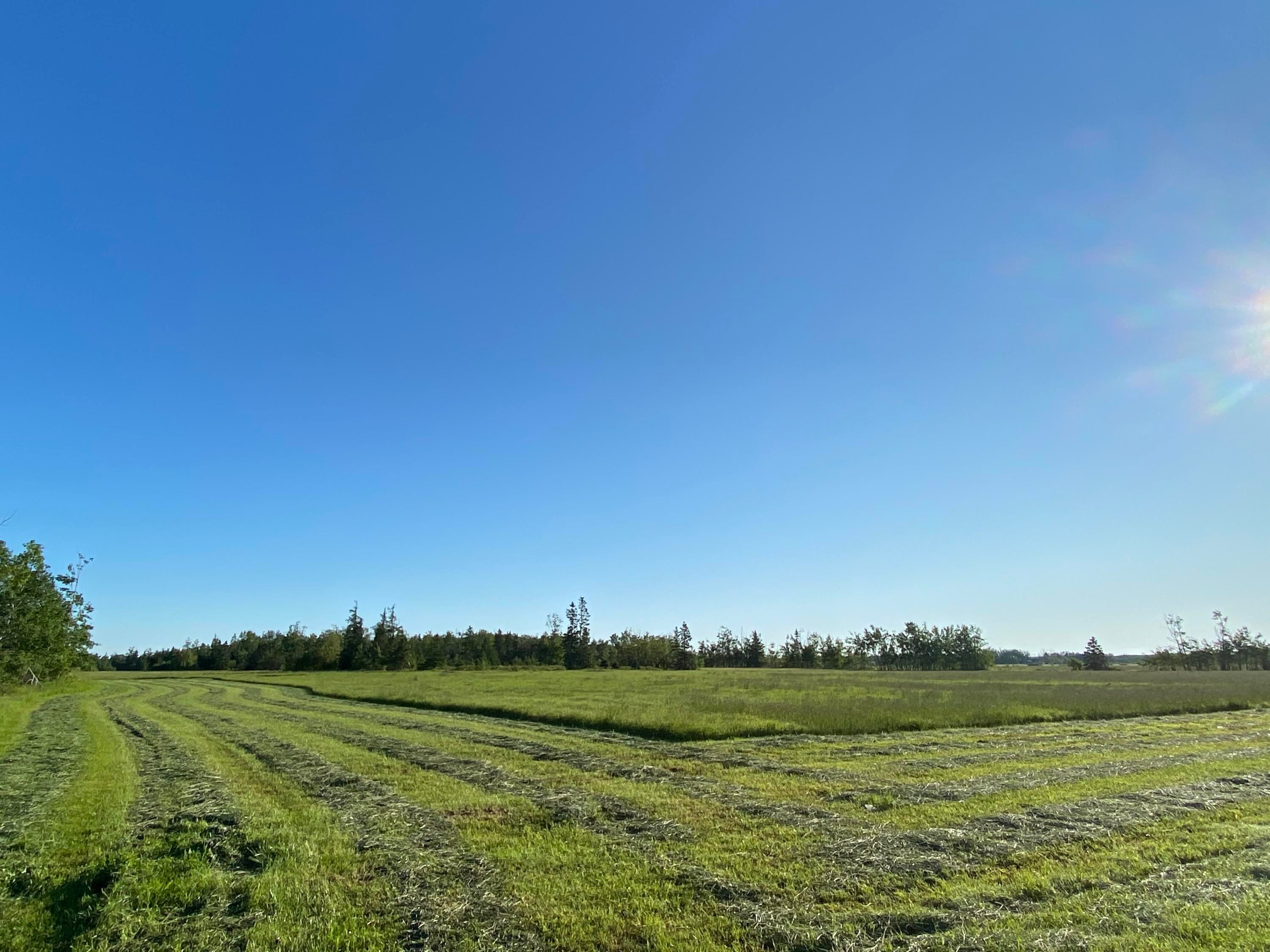 23 West 23 Mile Road Pickford, MI 49774 - Photo 4 of 6 Gallery Image 4