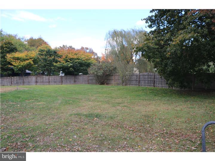 Back Yard