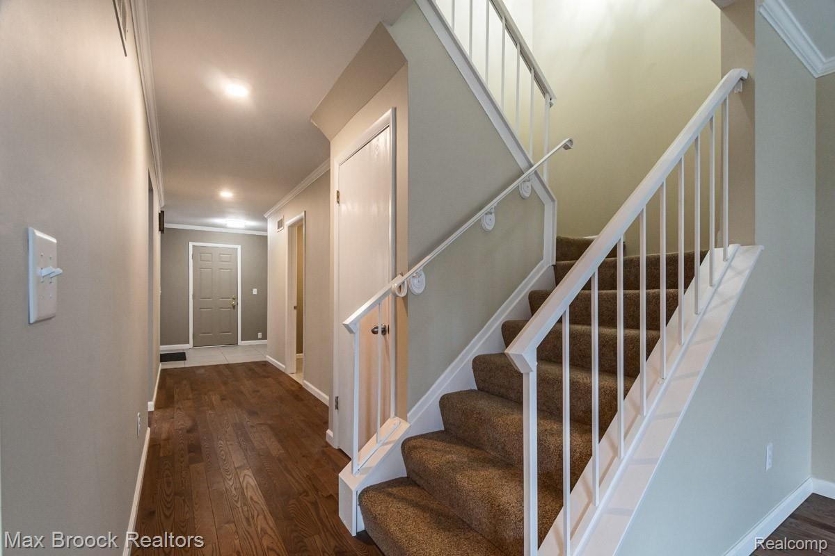 1808 Thomas Court Rochester, MI 48309 - Photo 25 of 34 10.jpg Lower hallway and stairs showcasing new carpet, and ash wood floors