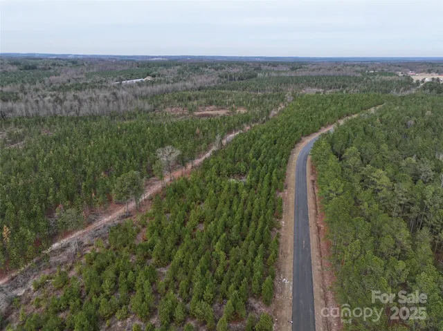 a view of a yard with plants