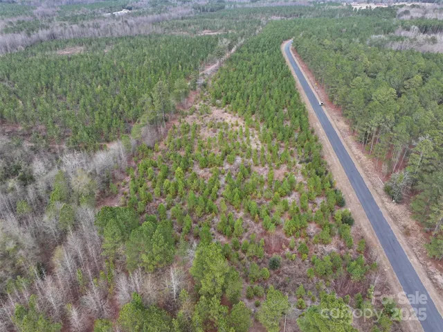 a view of a forest with a lush green forest