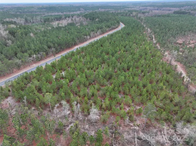 a view of a forest from a yard