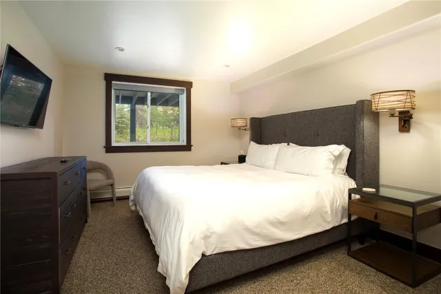 a bedroom with bed tv and window