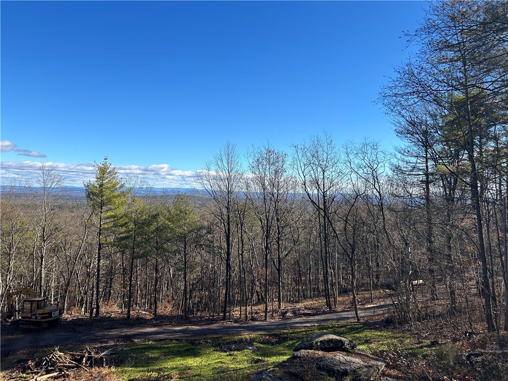 331 Ledgemoor Road Catskill, NY 12463 - Photo 21 of 34