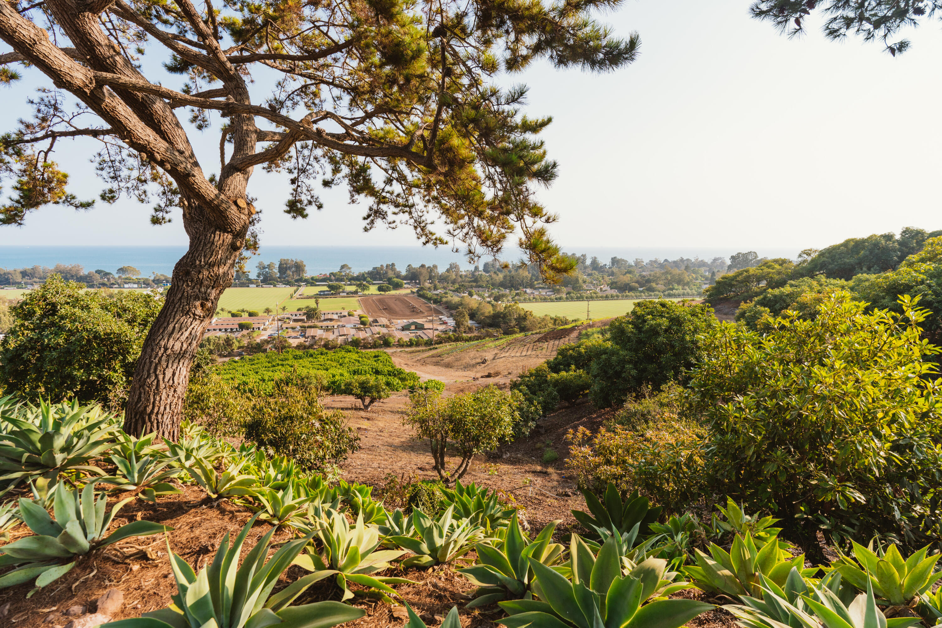 3330 Foothill Road Carpinteria, CA 93013 - Photo 13 of 56 DSC00482