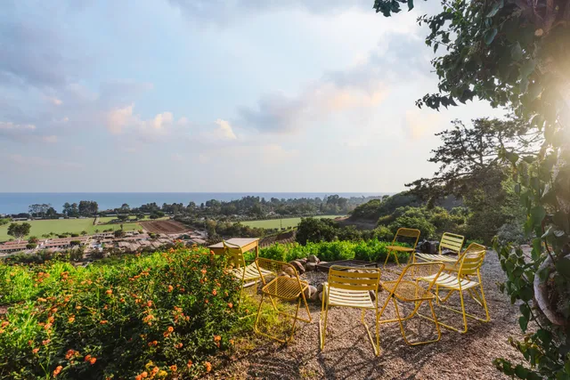 an aerial view of houses covered in trees