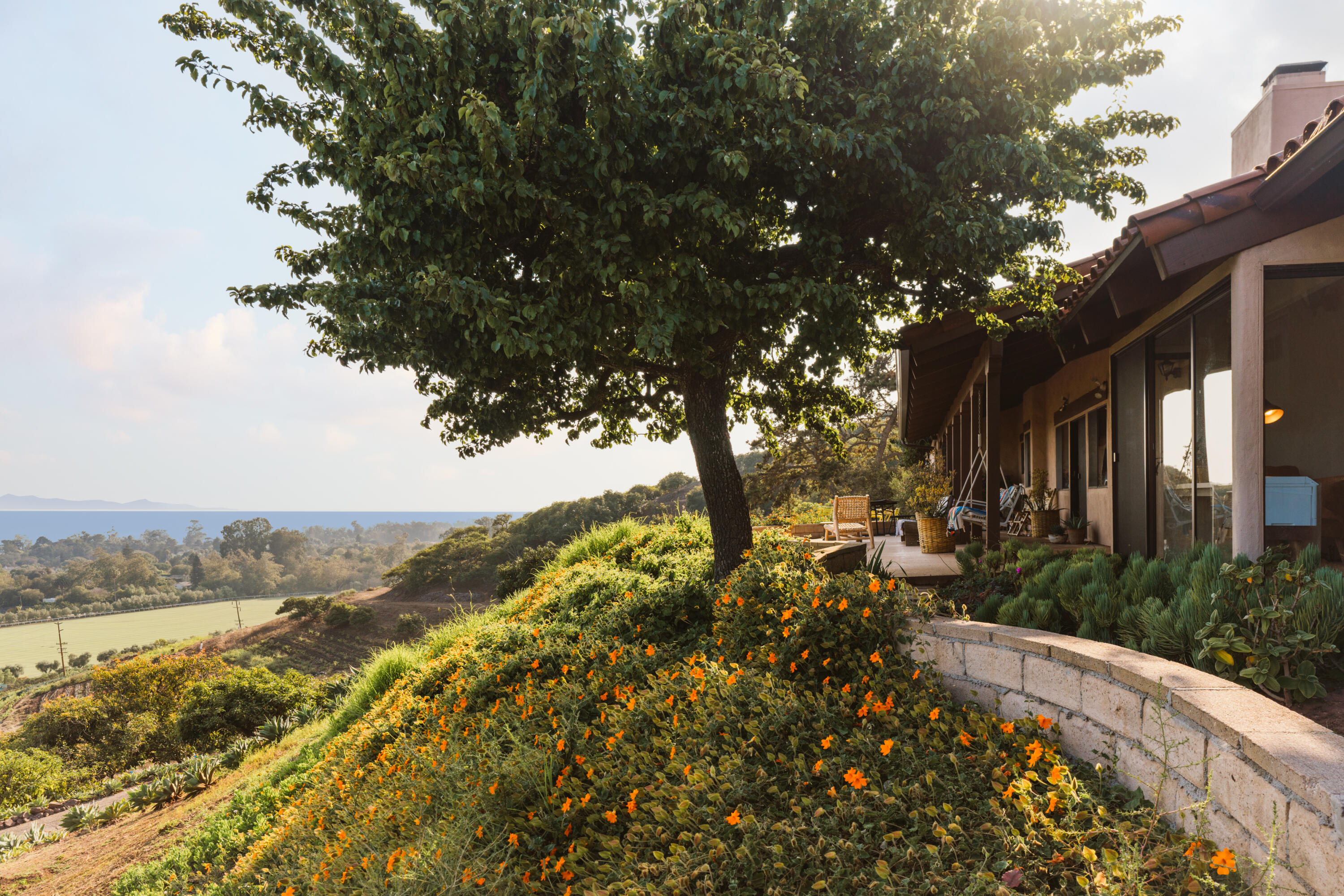3330 Foothill Road Carpinteria, CA 93013 - Photo 7 of 56 a view of a yard with plants and large trees