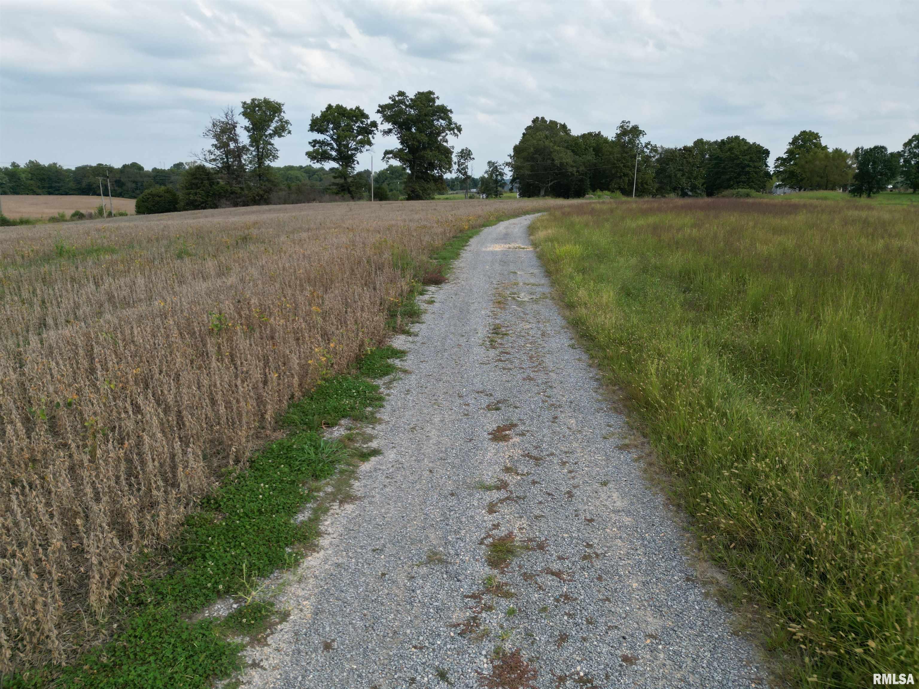 885 Ozark Road Ozark, IL 62972 - Photo 7 of 22