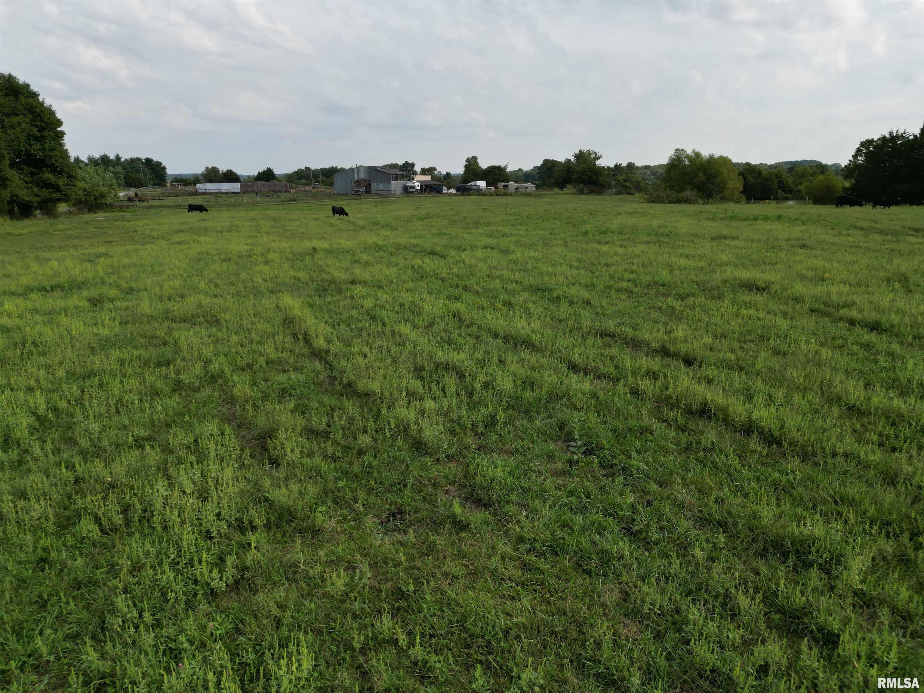 885 Ozark Road Ozark, IL 62972 - Photo 10 of 22